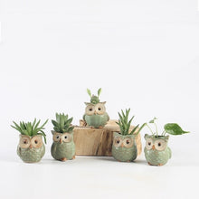 Load image into Gallery viewer, Ceramic Owl Shape Flower Pots5 Piece