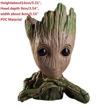 Load image into Gallery viewer, Succulent Plants Planter Flowerpot