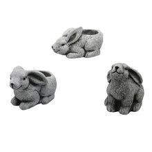 Load image into Gallery viewer, Cartoon Rabbit-Shaped Flower Pot