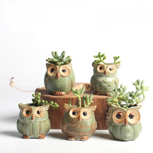 Ceramic Owl Shape Flower Pots5 Piece