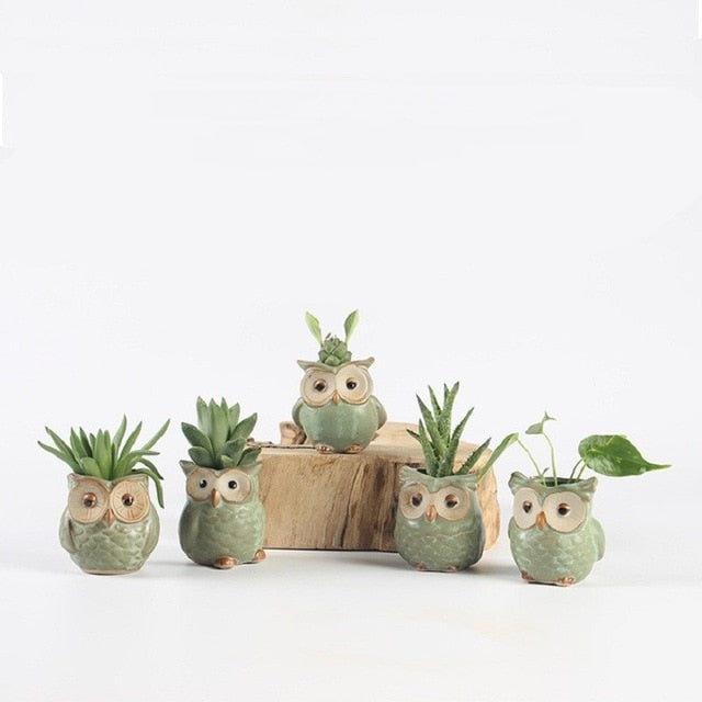 Ceramic Owl Shape Flower Pots5 Piece