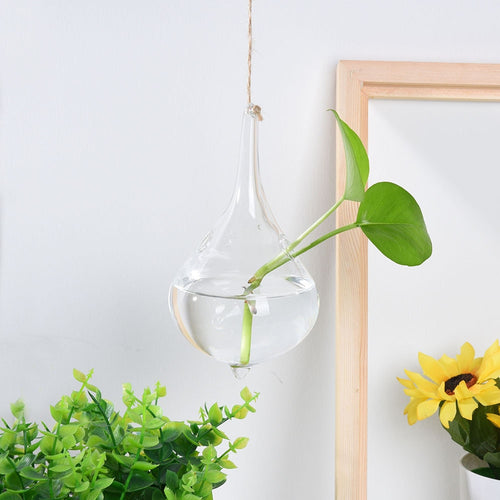 Home Garden Hanging Glass Ball Vase