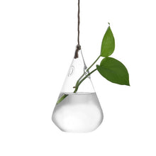 Load image into Gallery viewer, Home Garden Hanging Glass Ball Vase