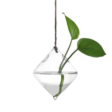 Load image into Gallery viewer, Home Garden Hanging Glass Ball Vase
