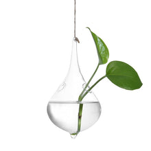 Load image into Gallery viewer, Home Garden Hanging Glass Ball Vase