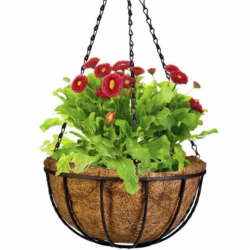 Wrought Coconut Half round Flowerpot
