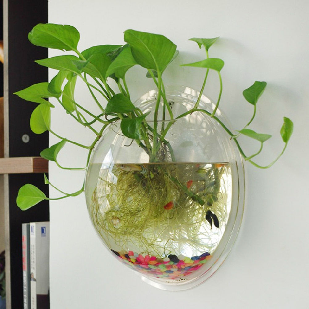 Terrarium Ball Globe Shape Clear Hanging Glass Vase