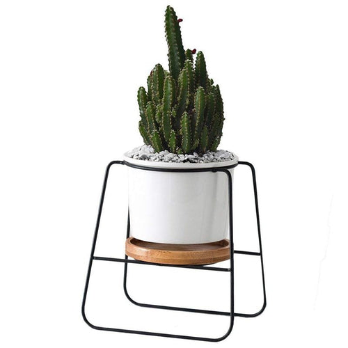 ABFY-Planter Pots