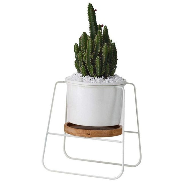 ABFY-Planter Pots