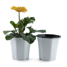 Load image into Gallery viewer, Geometric Nursery Seedling Flower Pot