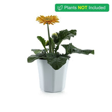 Load image into Gallery viewer, Geometric Nursery Seedling Flower Pot