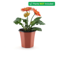 Load image into Gallery viewer, Geometric Nursery Seedling Flower Pot