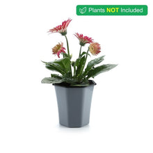 Load image into Gallery viewer, Geometric Nursery Seedling Flower Pot